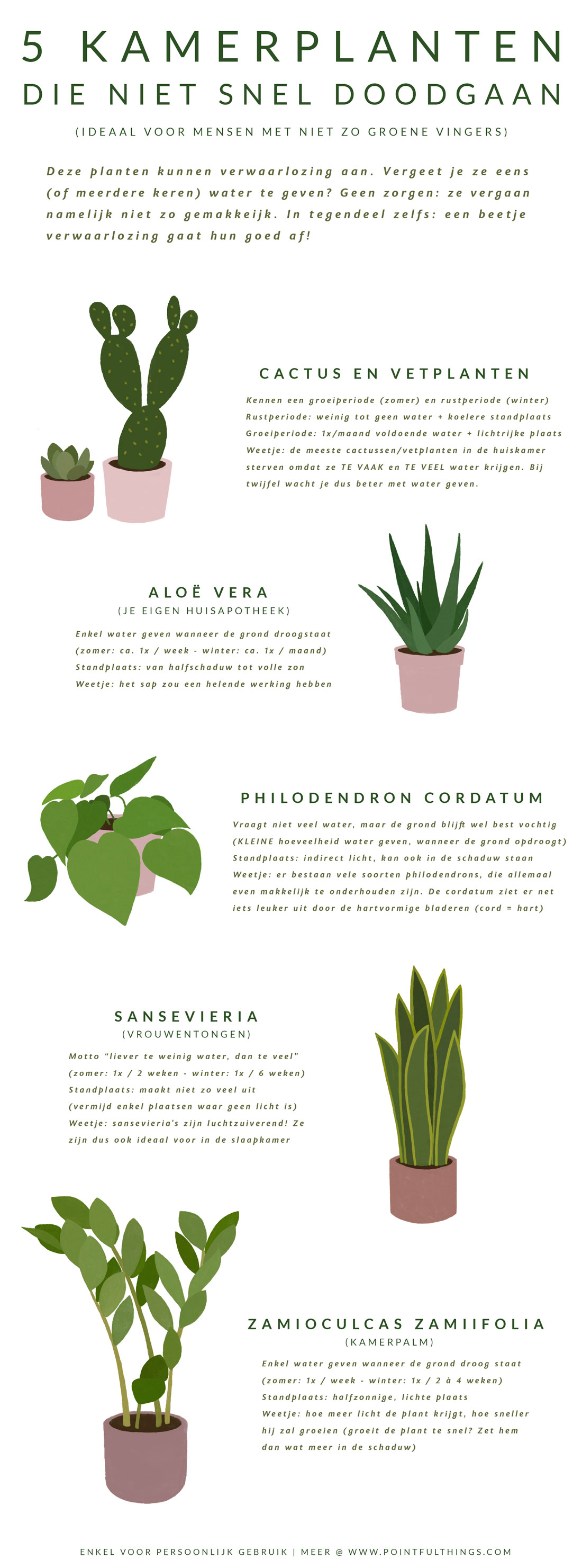 Plantengids Plantengids: 5 planten die niet snel doodgaan!